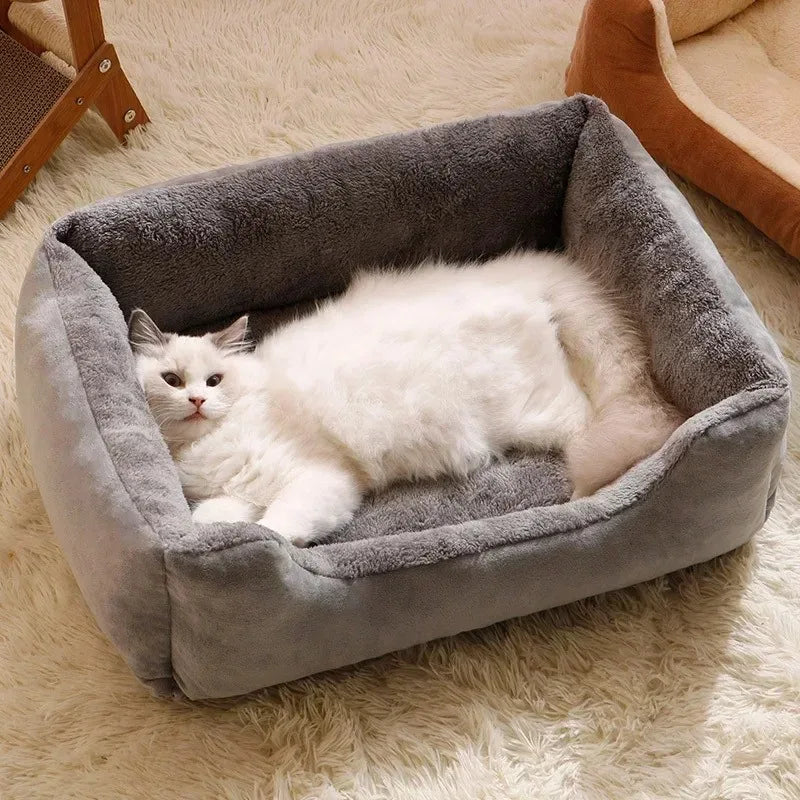 Bed for Cats!