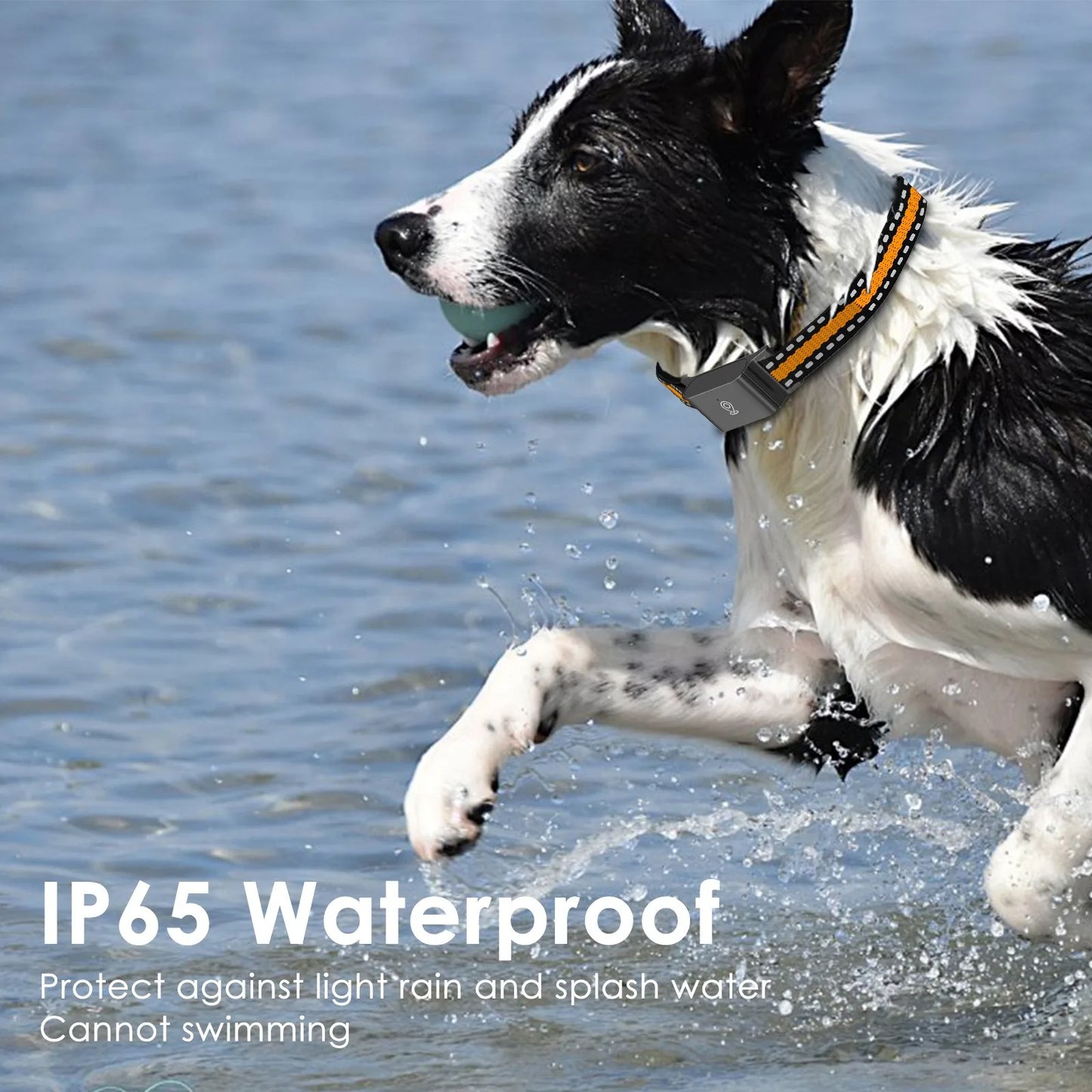 GPS Tracking Collars For Pets