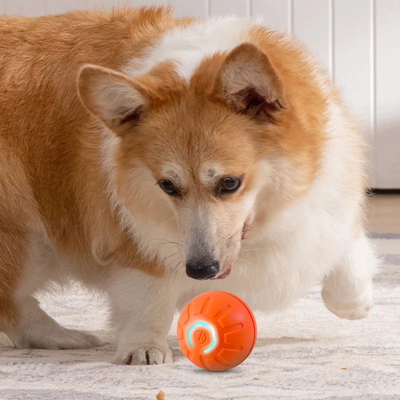 Electronic Interactive Smart Toy Ball For Dogs.