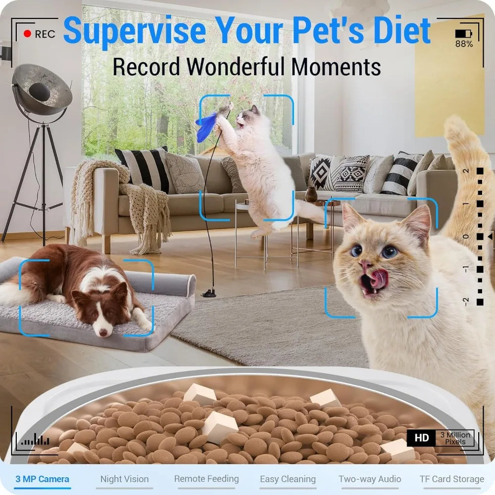 Automatic Smart Feeder