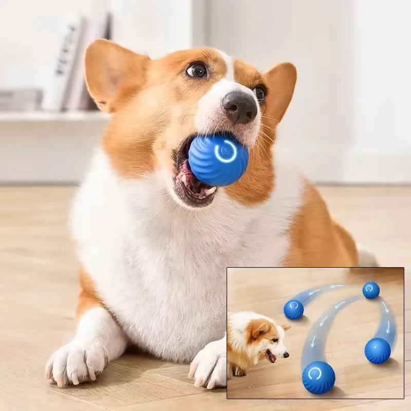 Electronic Interactive Smart Toy Ball For Dogs.