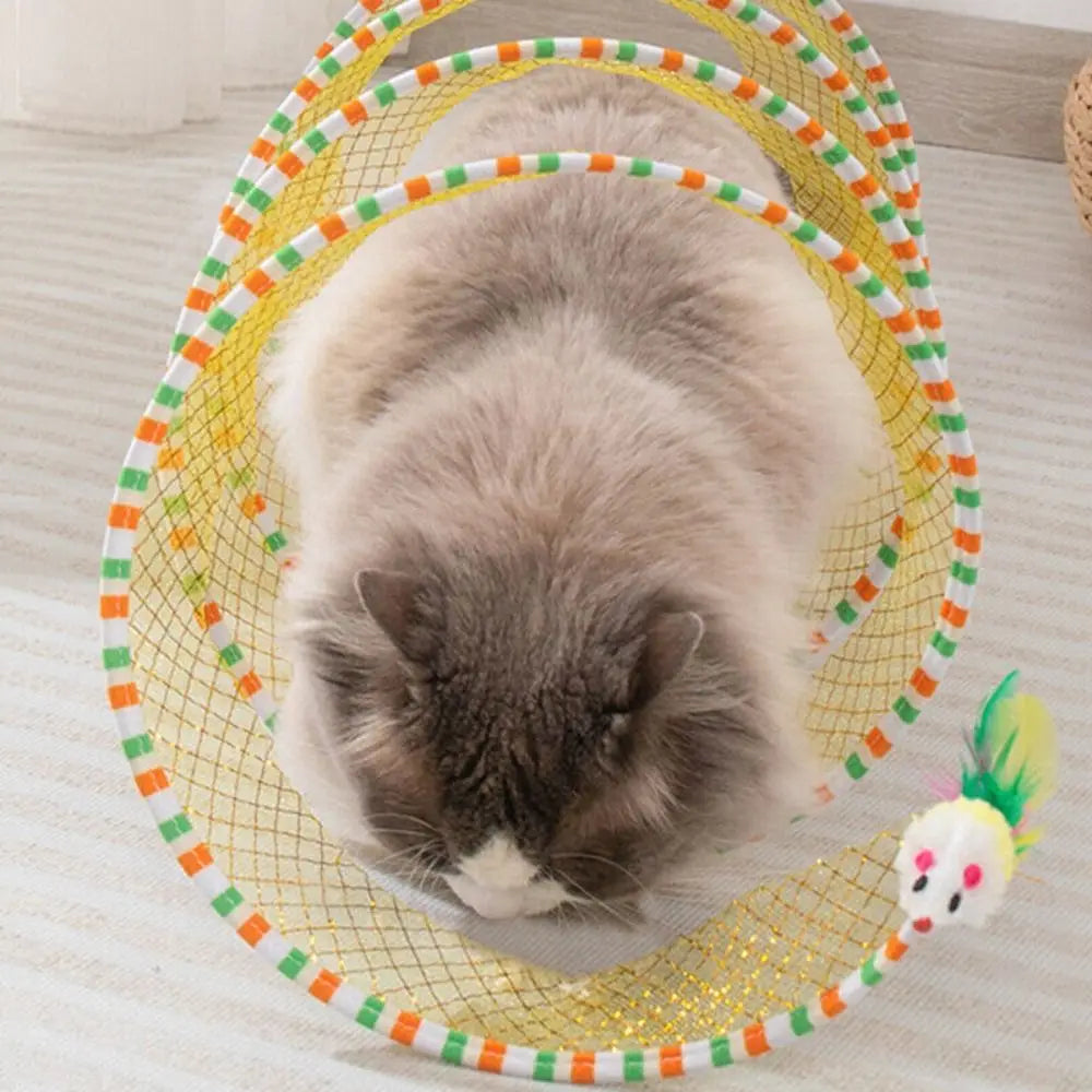 Spiral Cat Tunnel Toy!