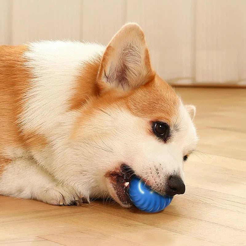 Electronic Interactive Smart Toy Ball For Dogs.