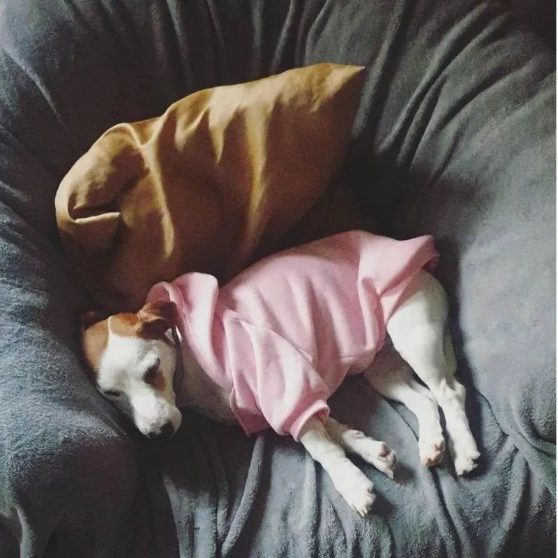 The Dog Face Clothes!!