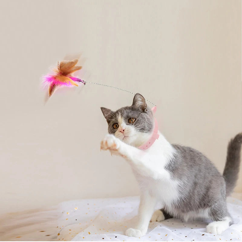 Interactive Cat Toys.