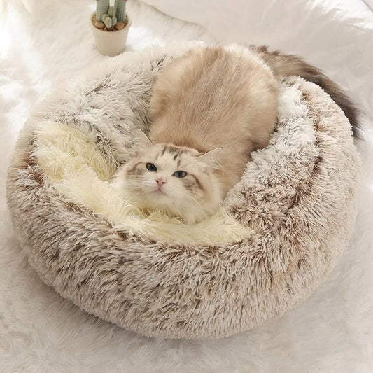 Extremely Comfortable Bed For Your Pet!