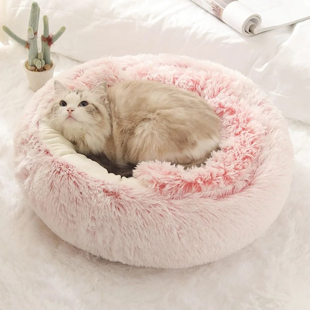 Extremely Comfortable Bed For Your Pet!