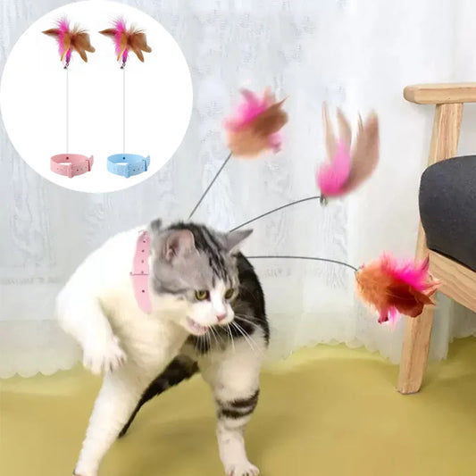 Interactive Cat Toys.